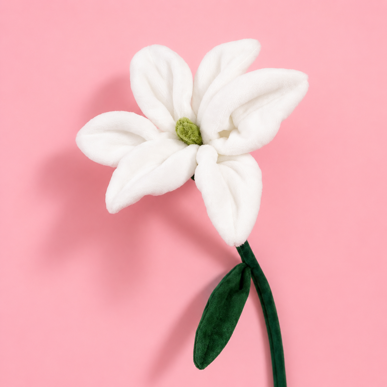 Pearl Lily