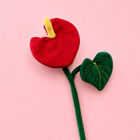 Sweetheart Anthurium