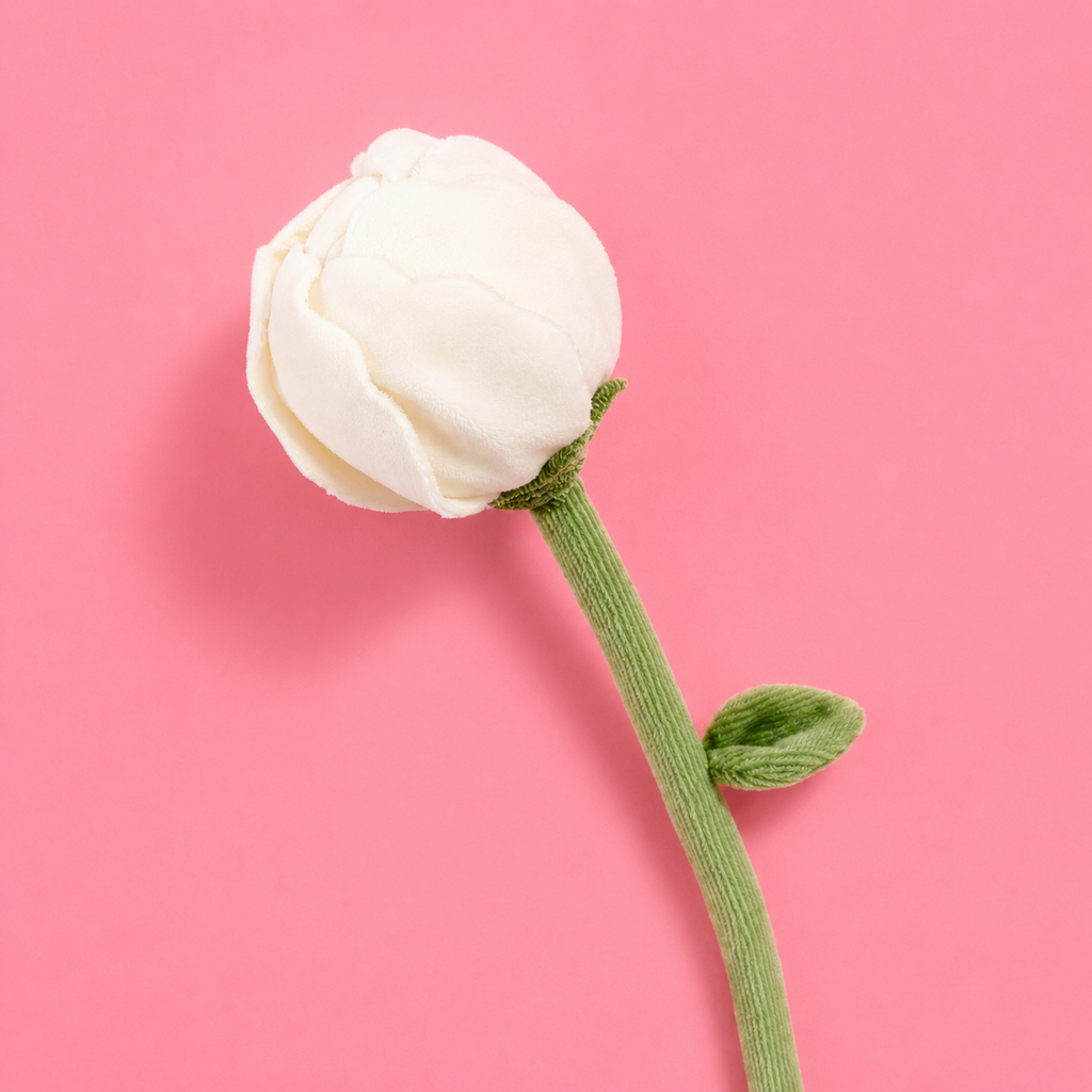 Powder Peony
