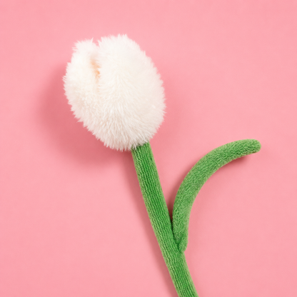 Sunday Tulip