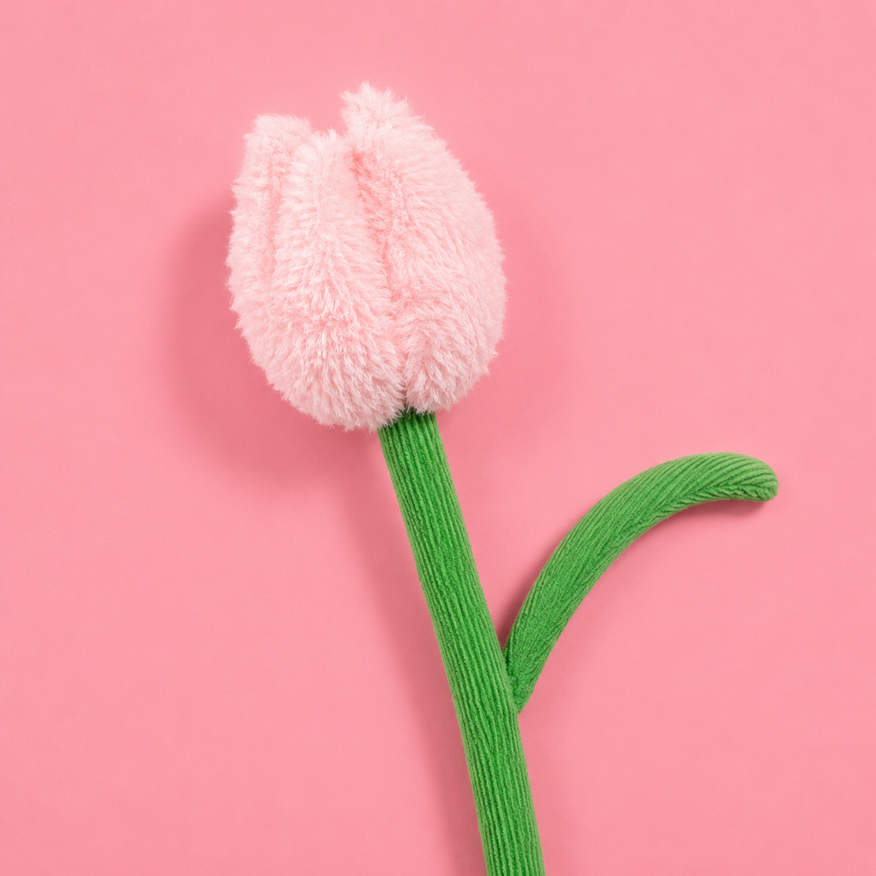 Sunday Tulip