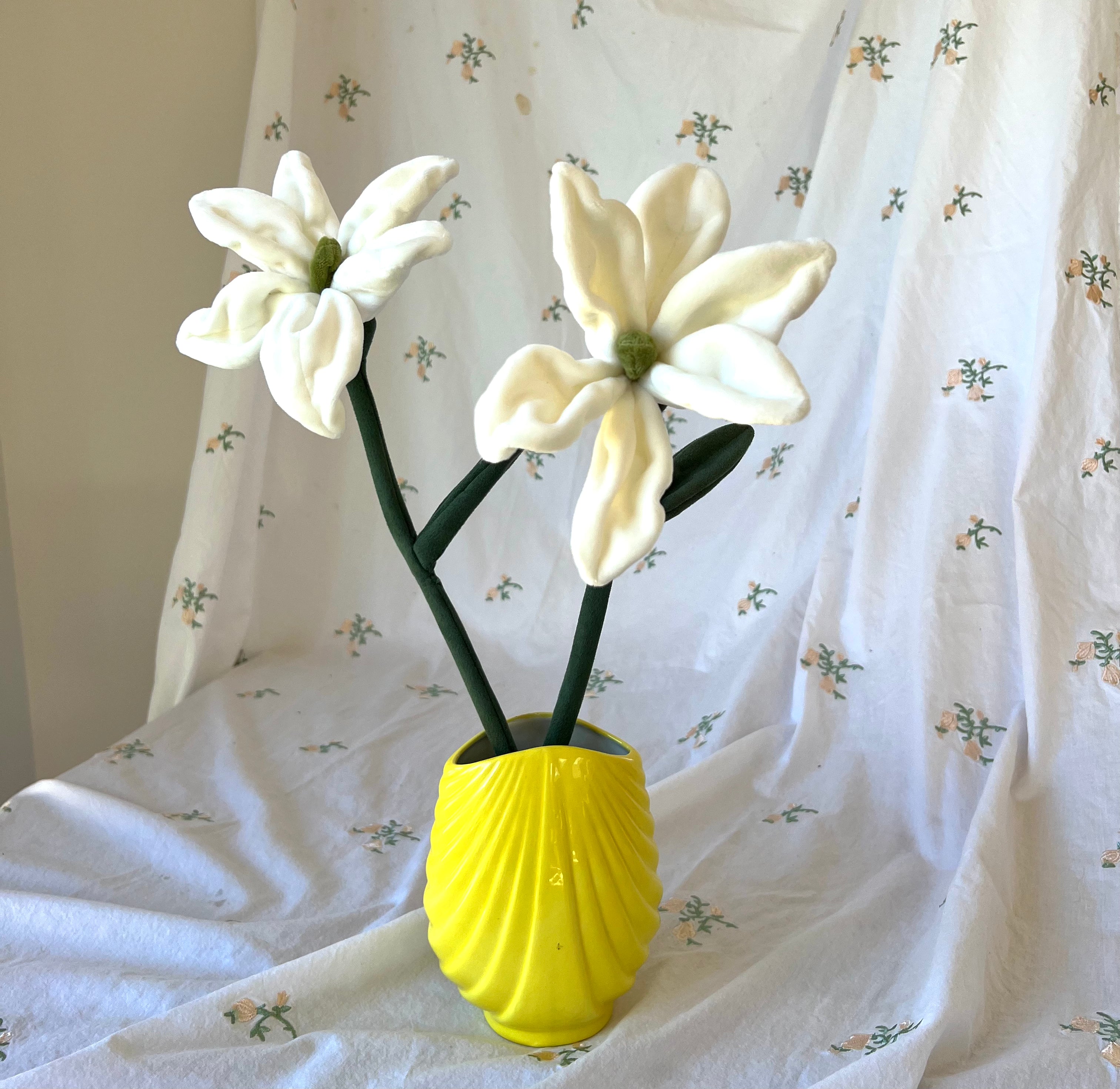 Pearl Lily