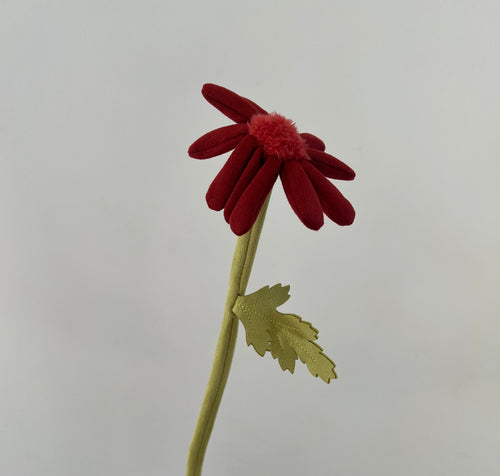 Darling Daisy