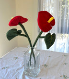 Sweetheart Anthurium