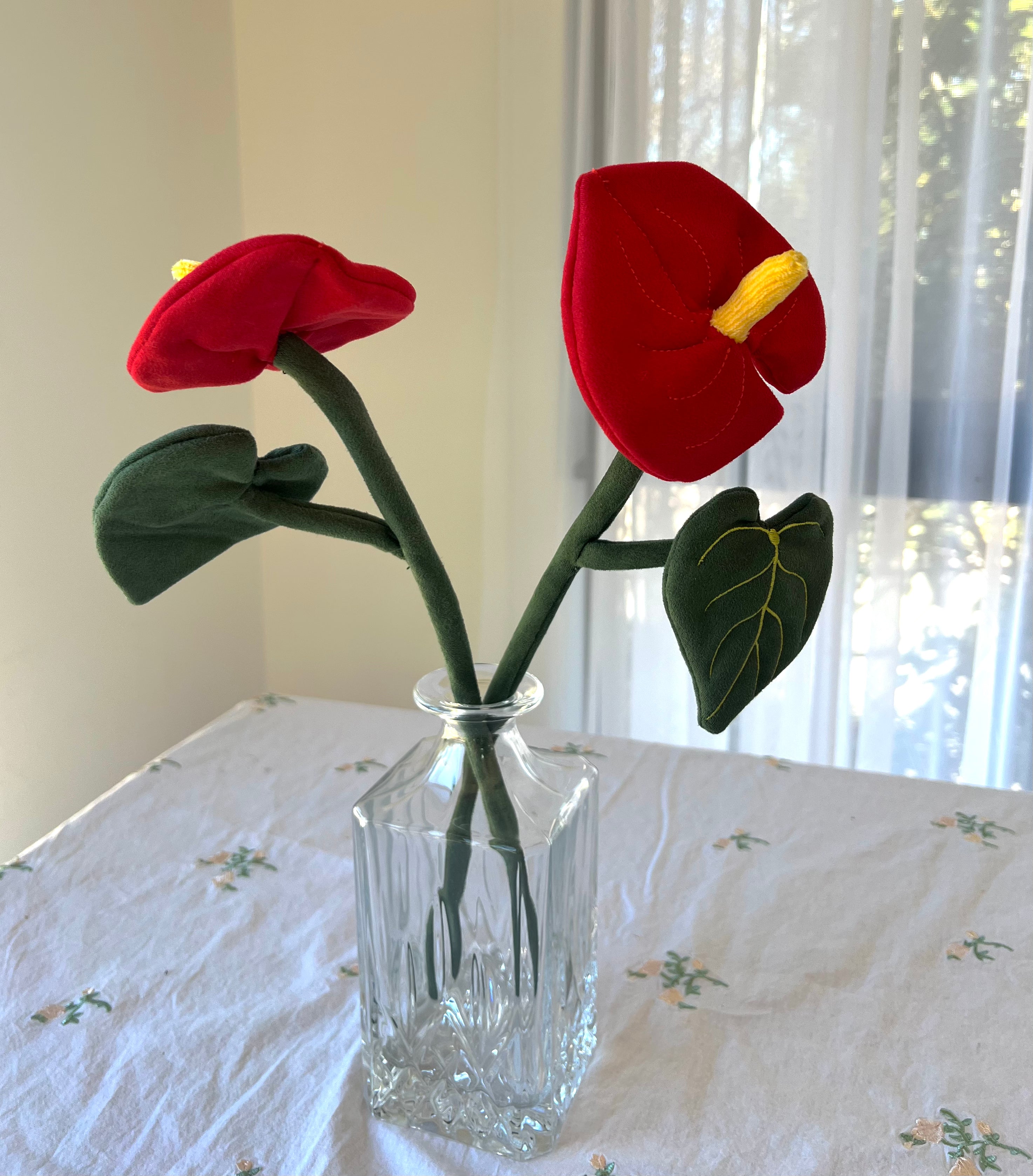 Sweetheart Anthurium