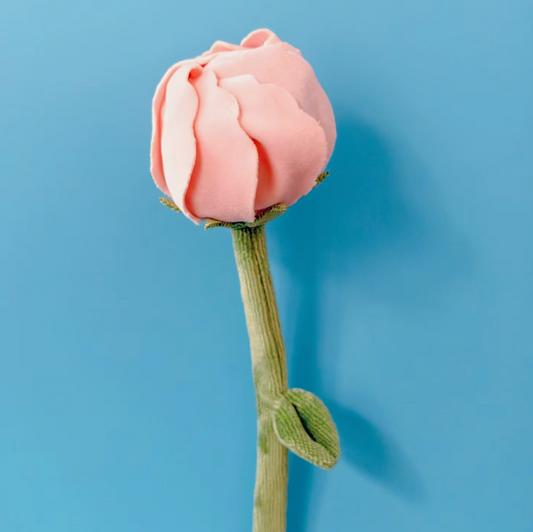 Sweet Peony