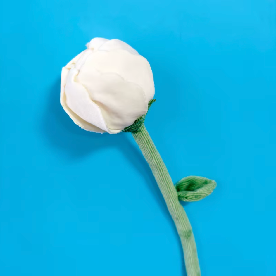 Sweet Peony