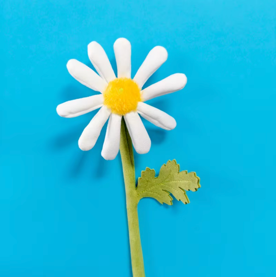 Darling Daisy